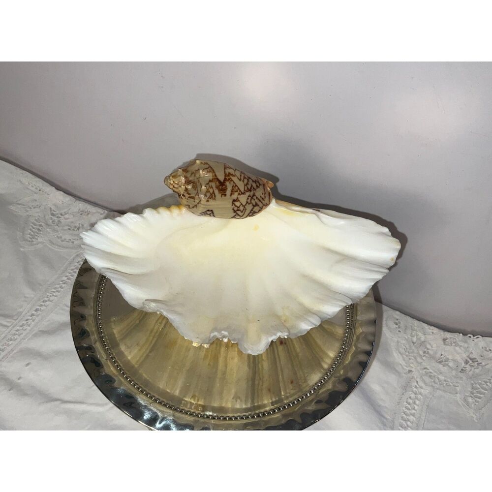 Vintage Ruffled Clam Seashell Decorative Bowl with Applied Shell Coastal Decor